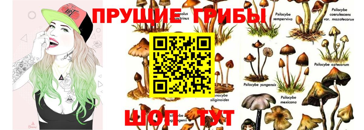 Галлюциногенные грибы Magic Shrooms  Вход с VPN  Ставрополь  Галлюциногенные грибы мухоморы 